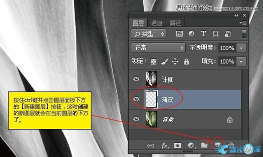 Photoshop使用计算工具调出别致的颜色,PS教程,站长图库